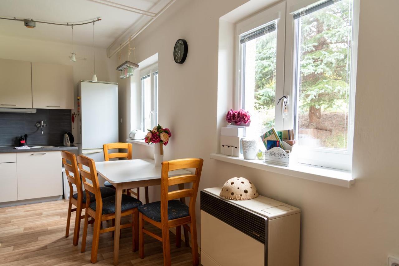 Apartman Fraise Apartment Decin Exterior photo
